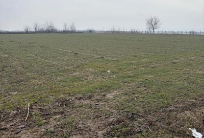 Teren de 9000mp, la intrarea in Filiasi ,la 300m de str. Racoteanu - 1