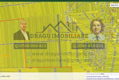 Teren extravilan 13.500 mp/ Valea Marului - 1