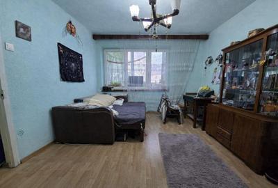 Apartament cu 2 camere semidecomandat în Terezian