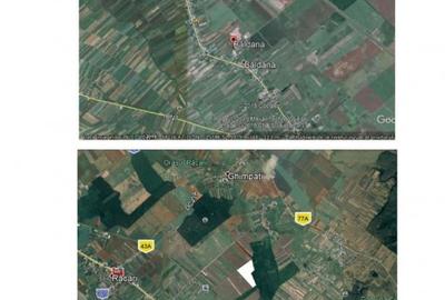 Sat Băldana, comuna Tartasesti, proiect pedologic - 8