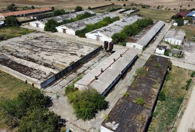 Spațiu industrial -fermă Orțișoara - 16