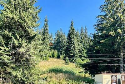 Teren Intravilan Predeal - Acces direct DN - Priveliste deosebita - 33