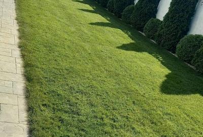 Duplex despartit prin garaj  I 5 camere I Complet mobilat I Dumbravita - 27