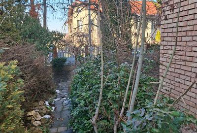 Langa Parc Padurice, pentru locuit sau afacere - 34