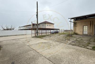 Inchiriere Cladire Productie, Depozitare 278 mp -Teren 1380 mp - Carei - 17