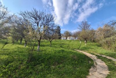 Moșia boierească din vârf de deal, Scorțeni - Prahova, comision 0% - 1