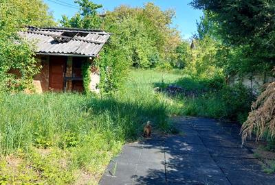 Casa 7 camere suprafata utila 300mp, teren 1000mp,spre vanzare in Cisnadie - 4