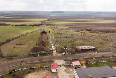 Fermă cu teren intravilan de 35000 mp în Mișca - 18