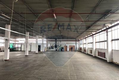 Hala 400 m productie - depozitare  – Lift 3t, Acces TIR, zona Aeroport - 2