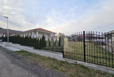 Casa individuala | 290 mp | 1200 mp teren | Mobilata | Alba-Micesti - 2