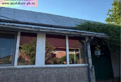 Casa de vanzare - Valea Calugareasca - 7