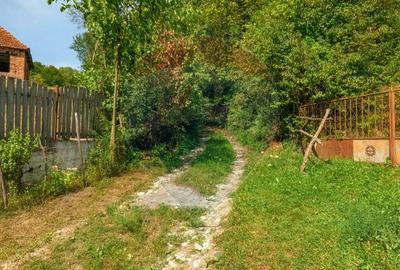 Casa veche cu teren ,Varmaga jud Hunedoara - 8