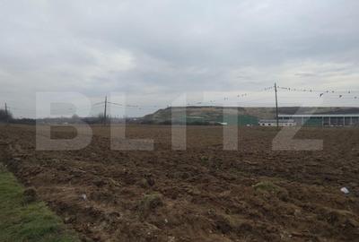 Teren Construcții intravilan de 13000 mp, în Mofleni