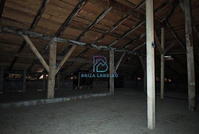 Bucurestii Noi, Biserica Basilescu, casa 183mp, 5 camere, teren 340mp - 7