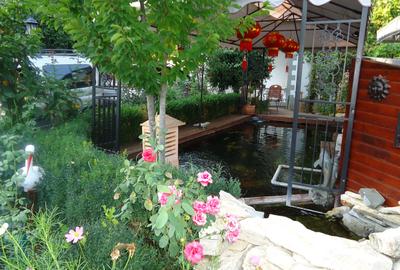 Vila piscina superba gradina matura cu iesire directa la padure - 21