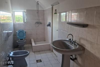 INCHIRIERE Casa individuala D + P + E + M cu 8 Camere 5 Bai 750 mp Teren CETATE - 14