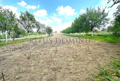 Teren Intravilan de Vânzare, Cetariu, 5450mp