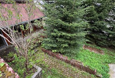 Apartament la curte Predeal - 11