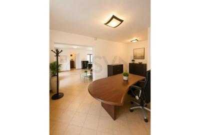 REC3001789 SPATRIU BIROU l CASA INDIVIDUALA l CURTE l KISELEFF l CLUCERULUI - 10