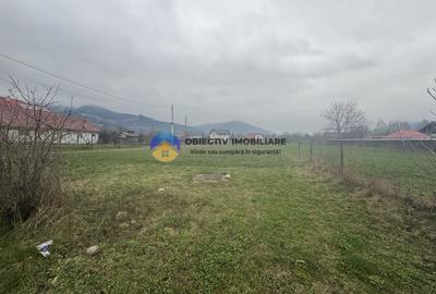 Teren 1200 mp Vadurele - comuna Alexandru cel Bun , cu utilitati - 5