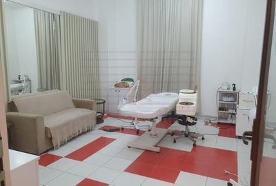 Lacul Tei spatiu comercial  stradal - 5
