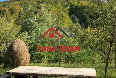 Teren extravilan in Brebu(Pietriceaua)--9104mp--50.000e - 6