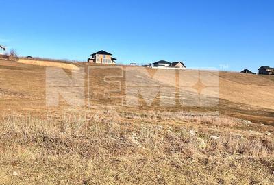 Teren agricol extravilan de 2500 mp, în Moara Nica