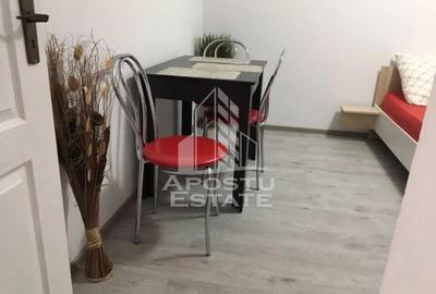 Apartament cu 1 camere, Prima Inchiriere, zona Elisabetin, Centrala - 3