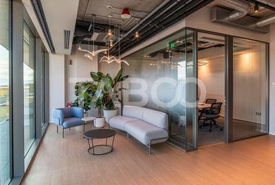 Birouri premium in Sibiu–Spatii flexibile moderne pentru companii - 10