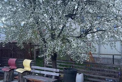 OFERTĂ! Studio la casă | Blumăna, Str. De Mijloc - 1