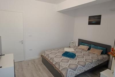 Apartament cu 2 camere - zona Bucium - Visan  - Complex Nairobi -  Pet Friendly - 11