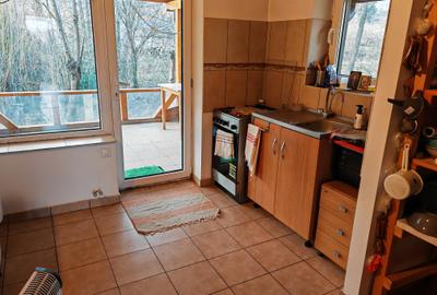 Casa 4 camere libera la vanzare, pozitie deosebita VULCAN - 24