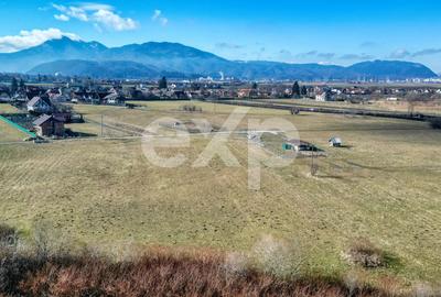 Teren 3.120 mp cu potențial de dezvoltare – Săcele | Posibilitate PUZ - 19