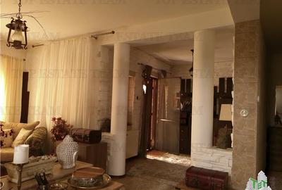 Super afacere, vila cu aspect de conac cu spatii moderne dar si clasice antichiz - 8