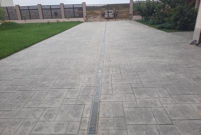 FARA COMISION casa 4 camere 2 bucatarii 2 puturi beci livada 1500mp SAU 3300mp - 2