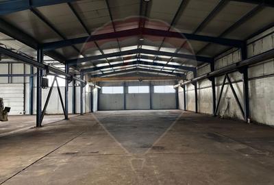Spațiu industrial în Deva - Platformă betonată, 2 hale , linie CFR - 6
