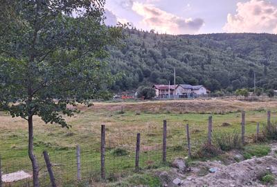 Teren 11547 mp Leresti - Pojorata judetul Arges - 3