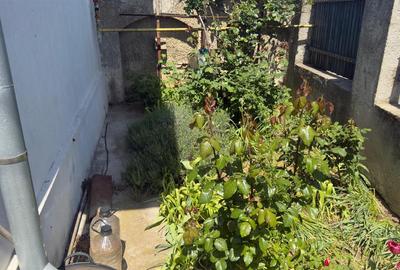 Casa 5 camere, caramida, garaj, pivnita — Cantacuzino, Ploiesti - 19