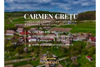 Teren Intravilan cu cabana  in satul transilvanean Alma - 15