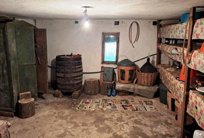 CASĂ SI TEREN BAIA DE FIER - 13