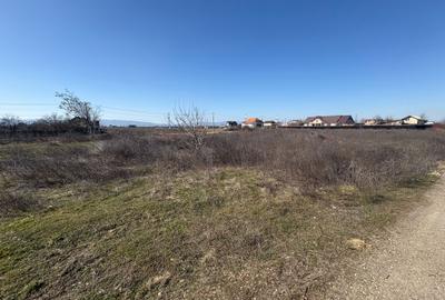 Teren de vânzare – Strada Rovine – loturi ideale pentru construcție - 2