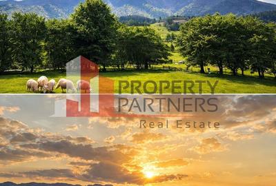 Teren cu priveliște spectaculoasă în Bran – Sohodol - 5