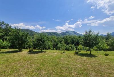 Refugiu idilic cu oglinda de apa, panorama montana, Glajerie/Rasnov, ideal mini - 17