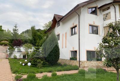 Domeniu de vanzare, Baile Govora(Pausesti-Otasau) cu teren de 20875mp - 2