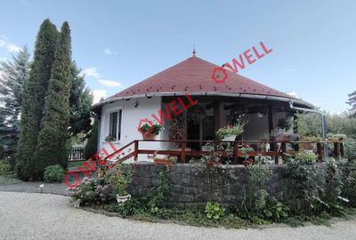 Casă unică de vânzare în Valea Crișului! - 4