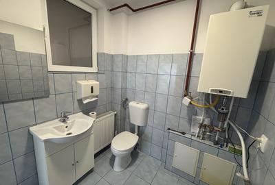 Spațiu zona Mehala - 10