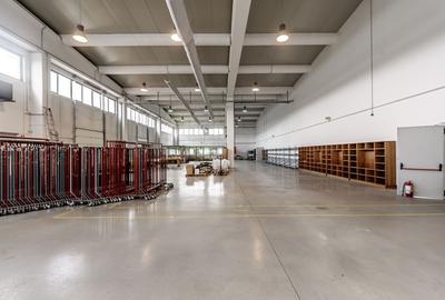 Hală de producție și depozitare cu birouri în Arad - 11