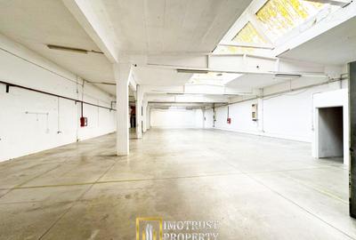 Hala industriala 675 mp, Arad central, acces TIR ideal depozit logitic - 4