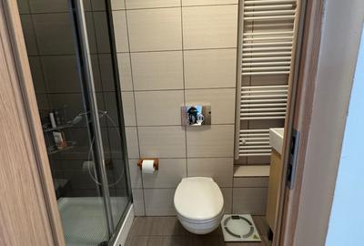 Tunari, Str. Campului, Casa tip Vila, 5 Camere, Teren 1900 mp - 37