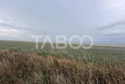 Teren de vanzare 30000 mp   60 ml deschidere Sura Mare Sibiu - 4